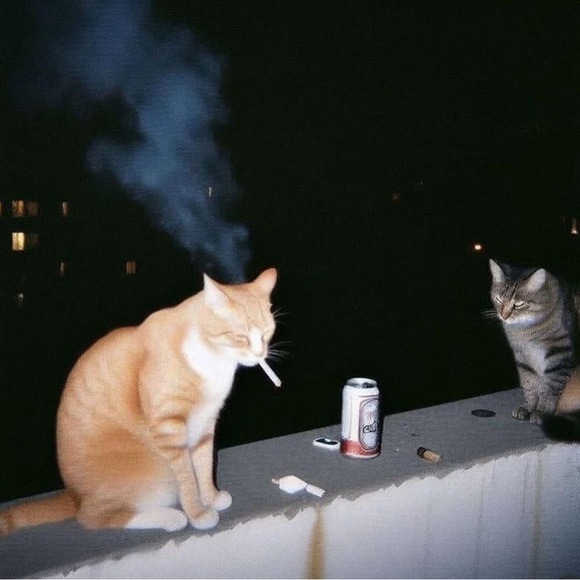 dripkitt3n